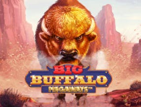 game logo by Skywind Group on spinkoo.se
