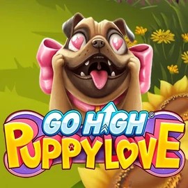 game logo by RubyPlay on spinkoo.se
